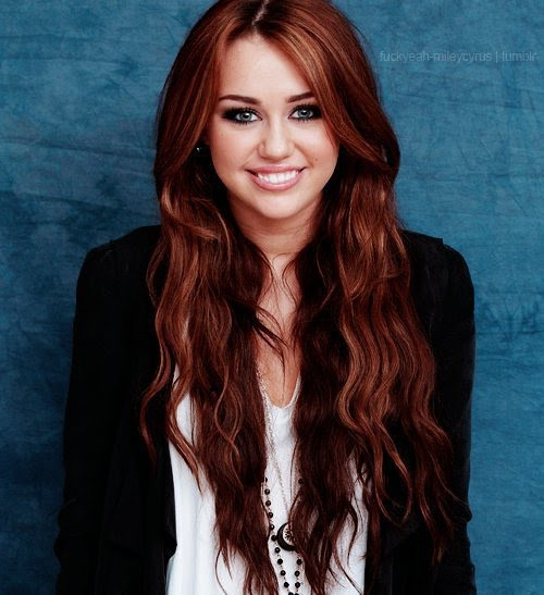 杨小邪的收藏夹