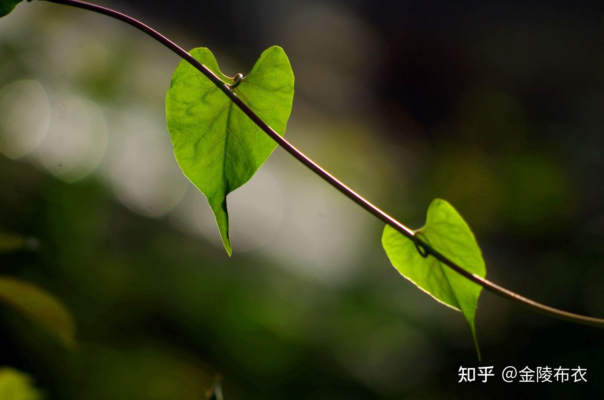 想买一台相机 日常拍绘画作品 色彩表现力好一点