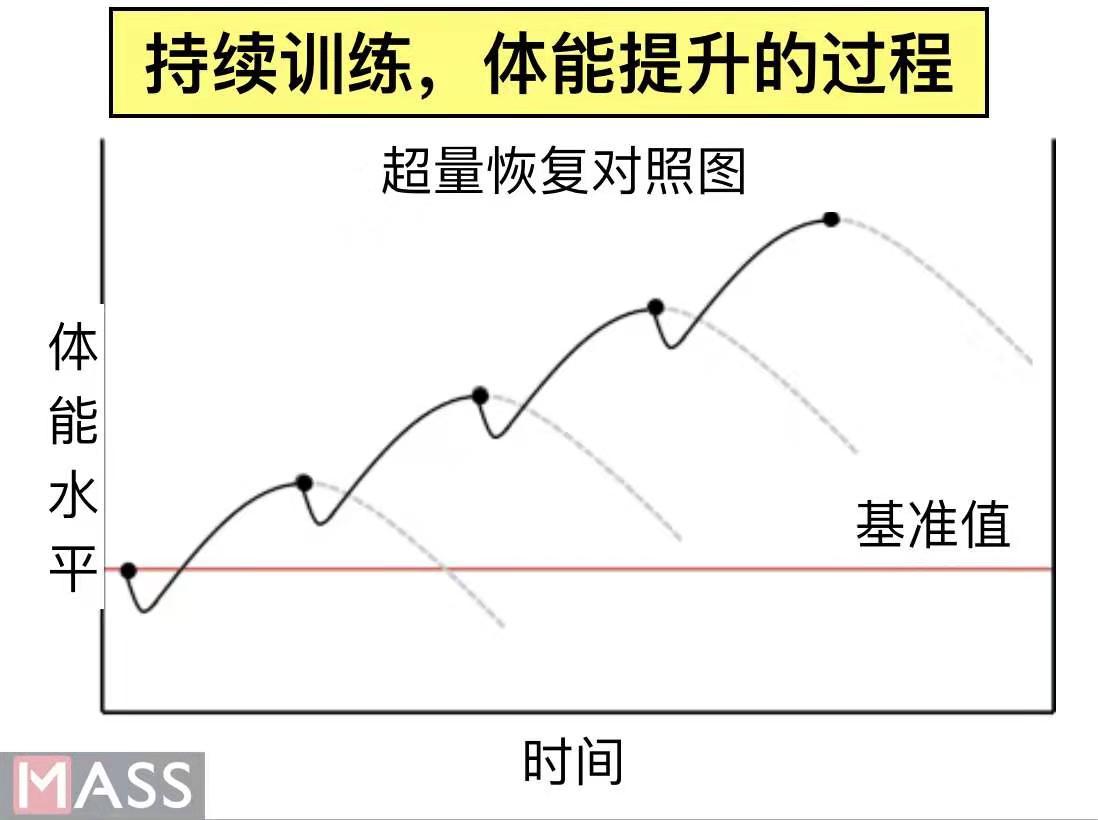 体育人口强度_人口普查