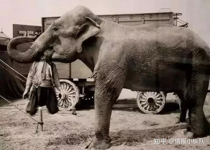 用大象处死犯人19世纪初的游记作家杜蒙·杜尔维耶在他的《环游世界》