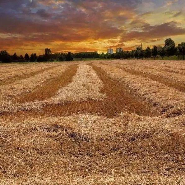 v2-d33a7026edb0ea469f05ebe411b78f7b_1440w.jpg?source=172ae18b