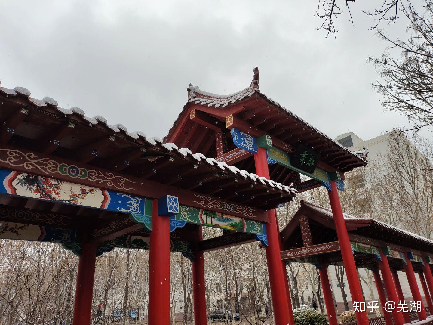 在德州学院就读是什么体验