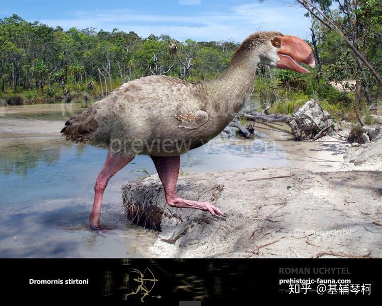 新生代巨兽猛兽与其他掠食者精简名录古兽争锋榜新近纪篇