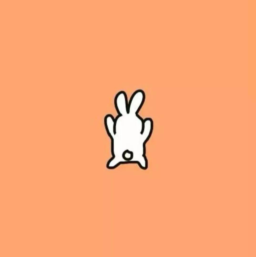 有什么一眼看上去就很舒服的头像