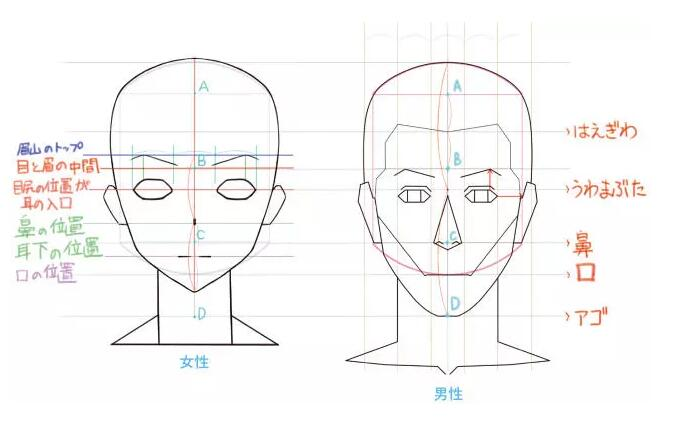 漫畫怎麼畫臉型