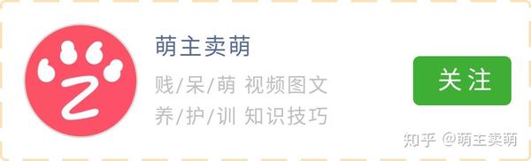 狗狗睡觉呼吸短急促是什么原因是生病了吗 知乎 狗狗睡觉呼吸短急促是什么原因是生病了吗 知乎