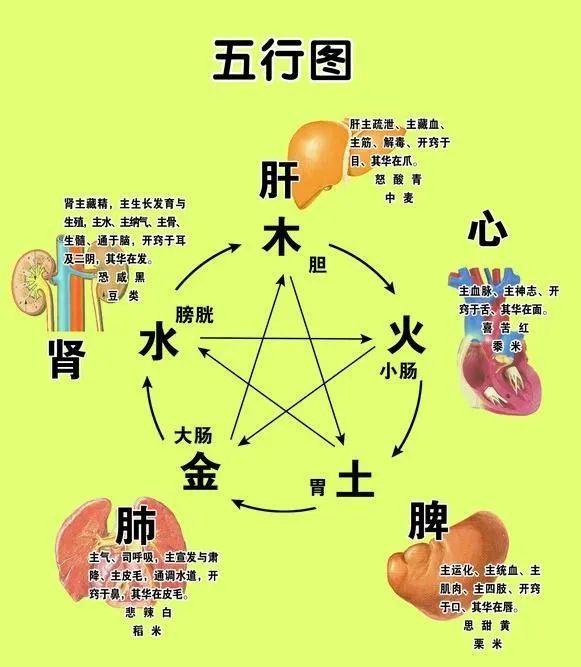 字说历史 | 最有文化的数字是五,你知道为什么吗? - 知乎