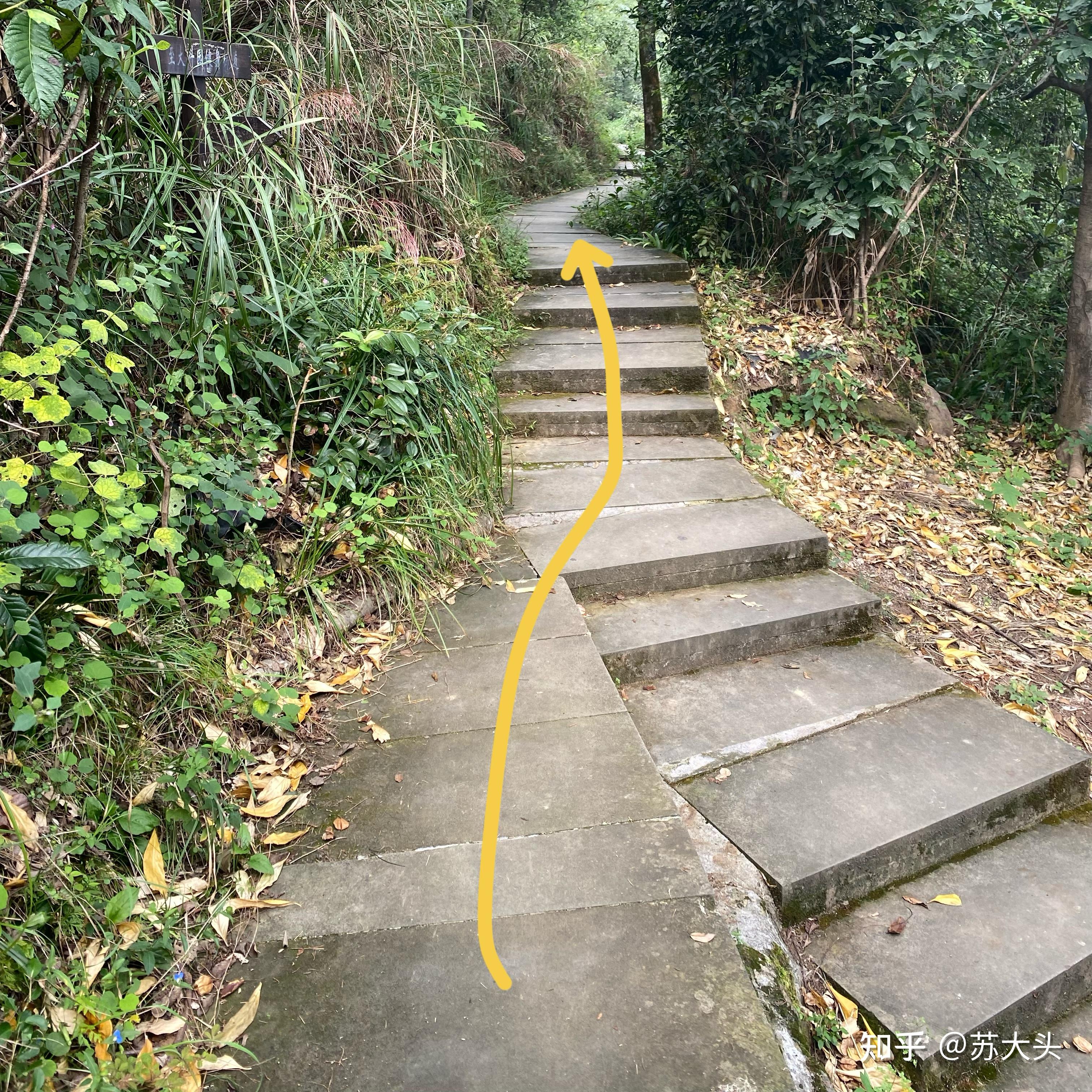 重庆徒步爬山圣地：缙云山免门票上山详细路线指引 - 知乎