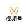 视频号研究社