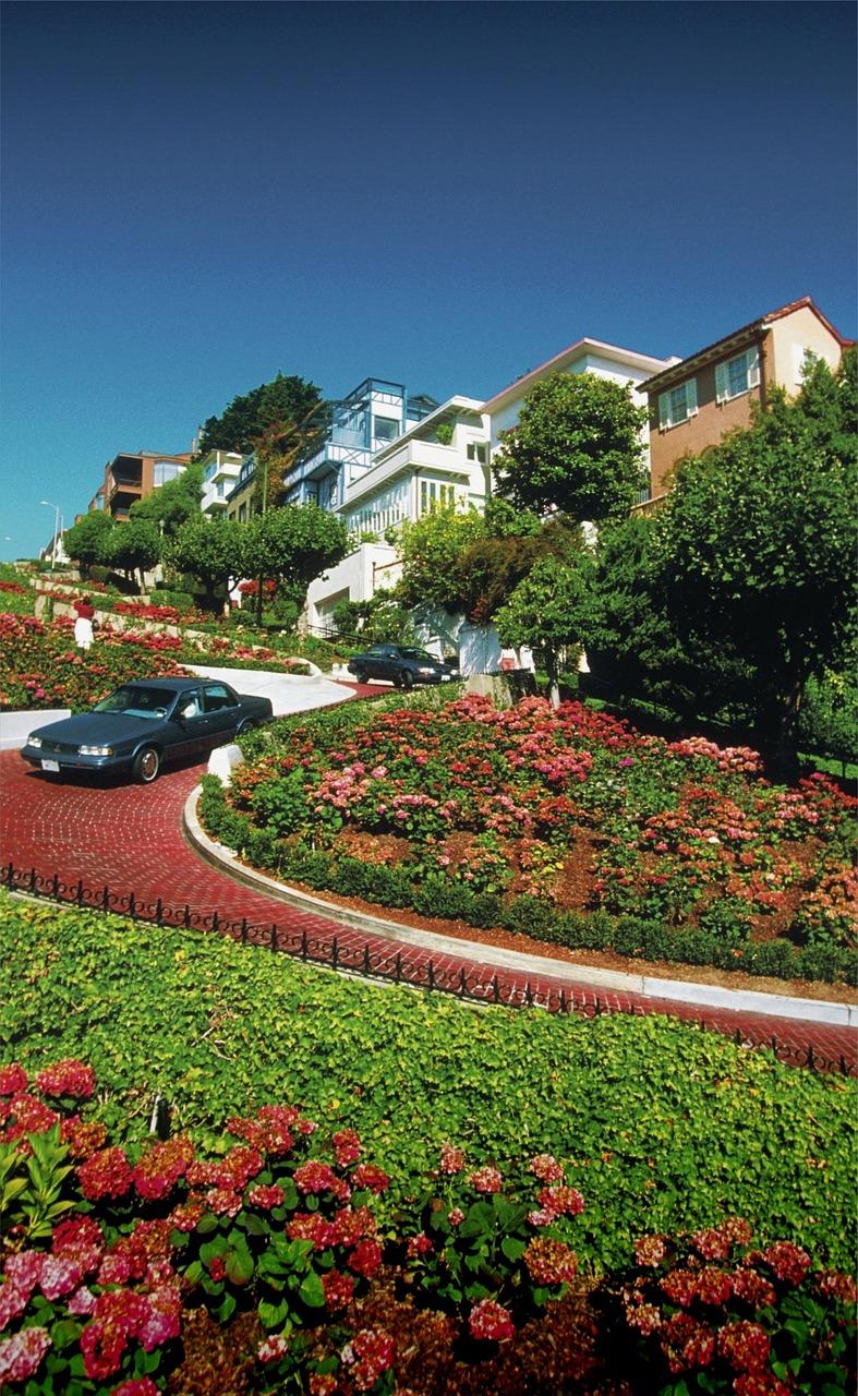 2. 张园林家乡探秘