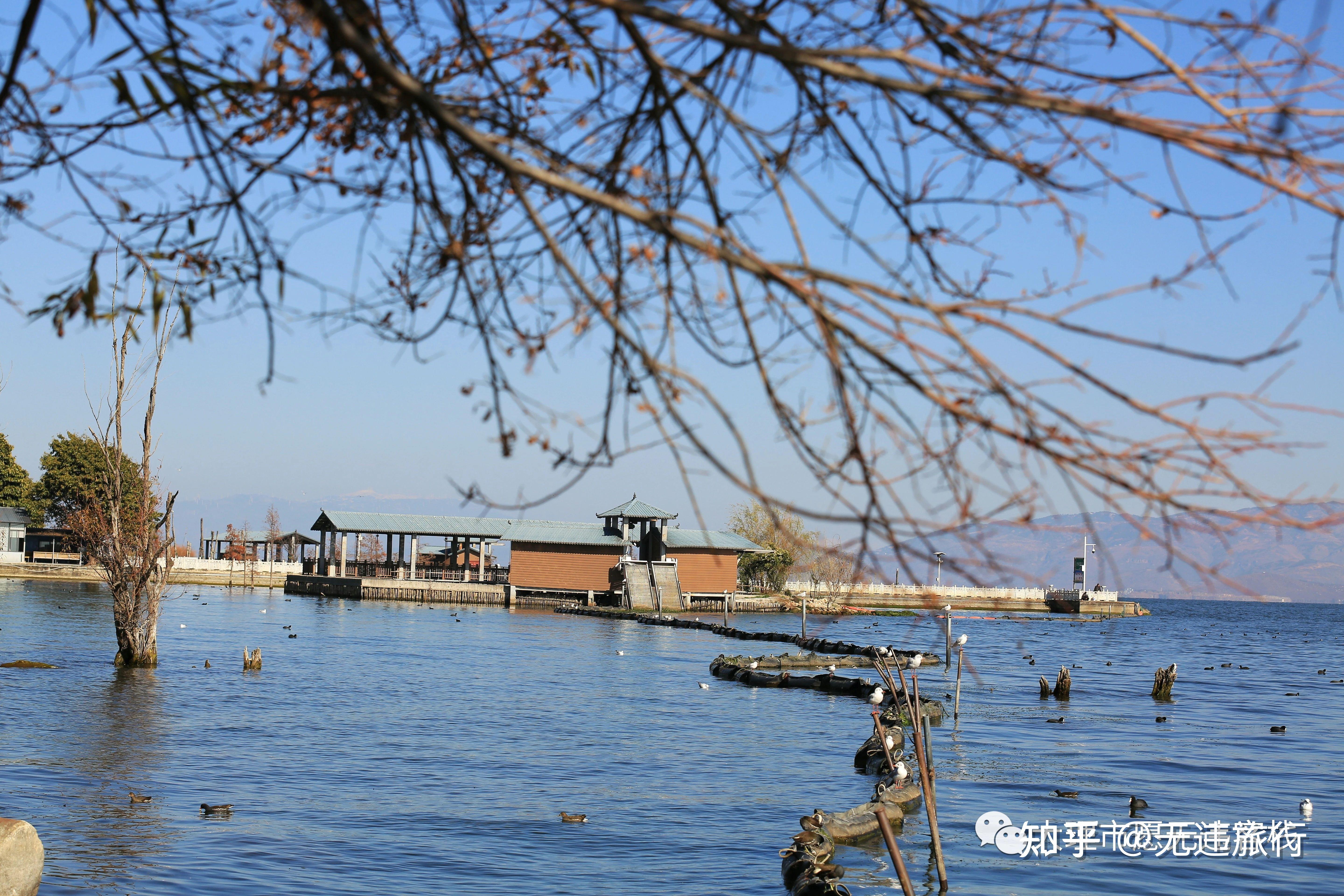 大理洱海才村码头旅游精美旅拍分享