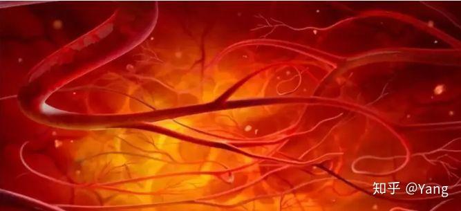 自由基的来源与危害 v2-d3b241bb844ebd7f04542aea65e78dc0_r.jpg