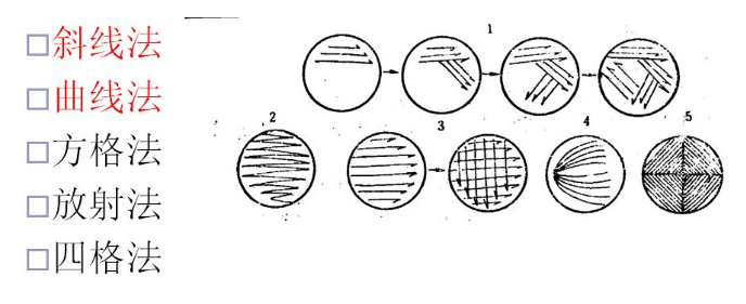 微生物画平板的画法图片