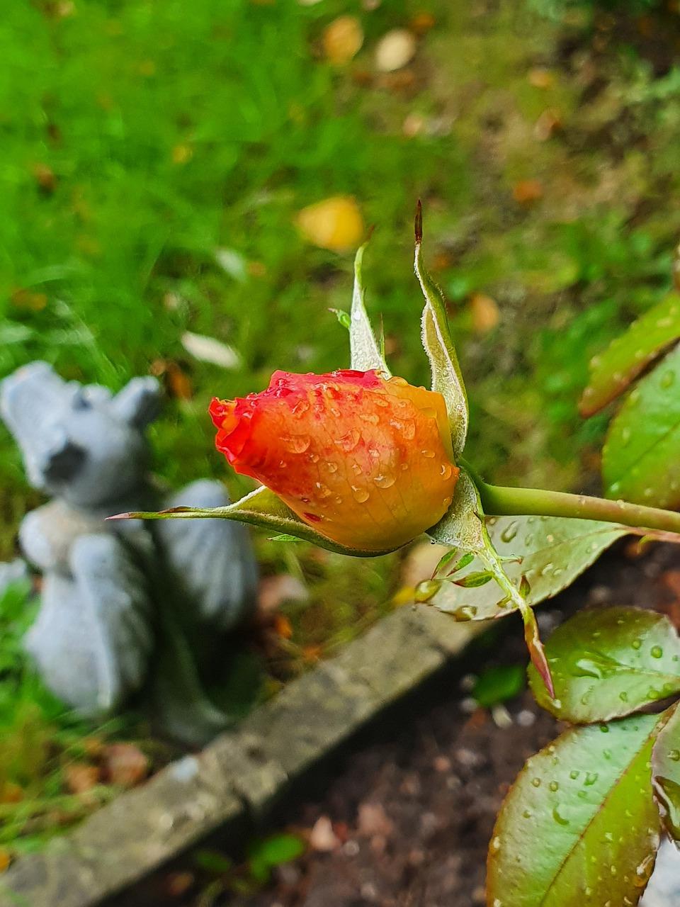 3. 春季病虫害防治