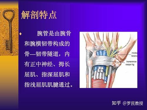 经常手麻动不了别大意可能是这5种病在冒头