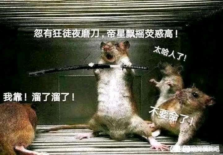 如何看待"天生万物以养人,人无一物以报天"这句话? - 知乎