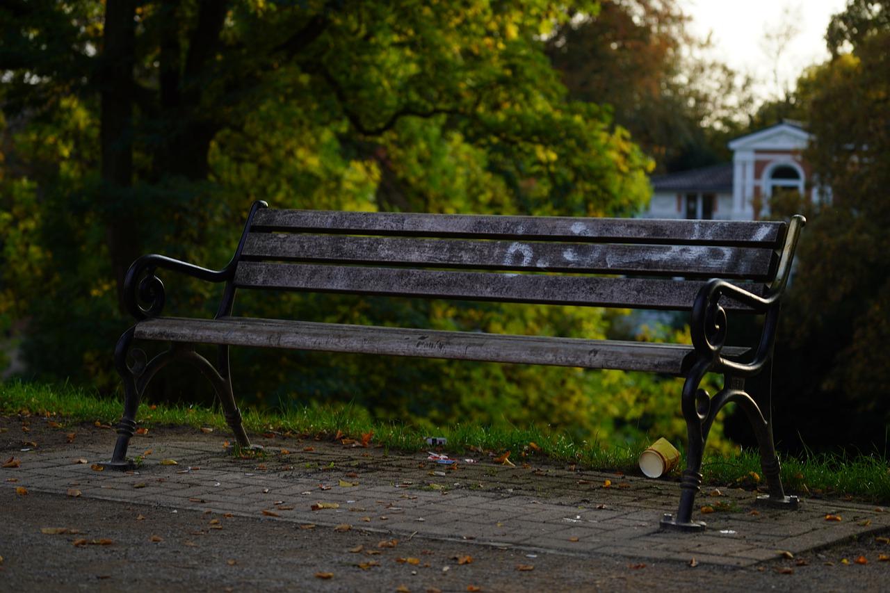 公园里有什么植物