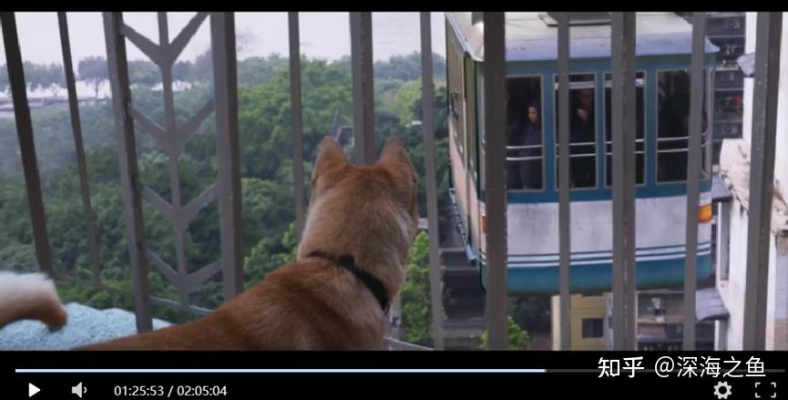 《忠犬八公》拉片分析(剧作、影像、文化等) - 知乎