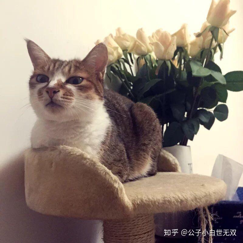 大学报农学专业的发展前景怎么样?