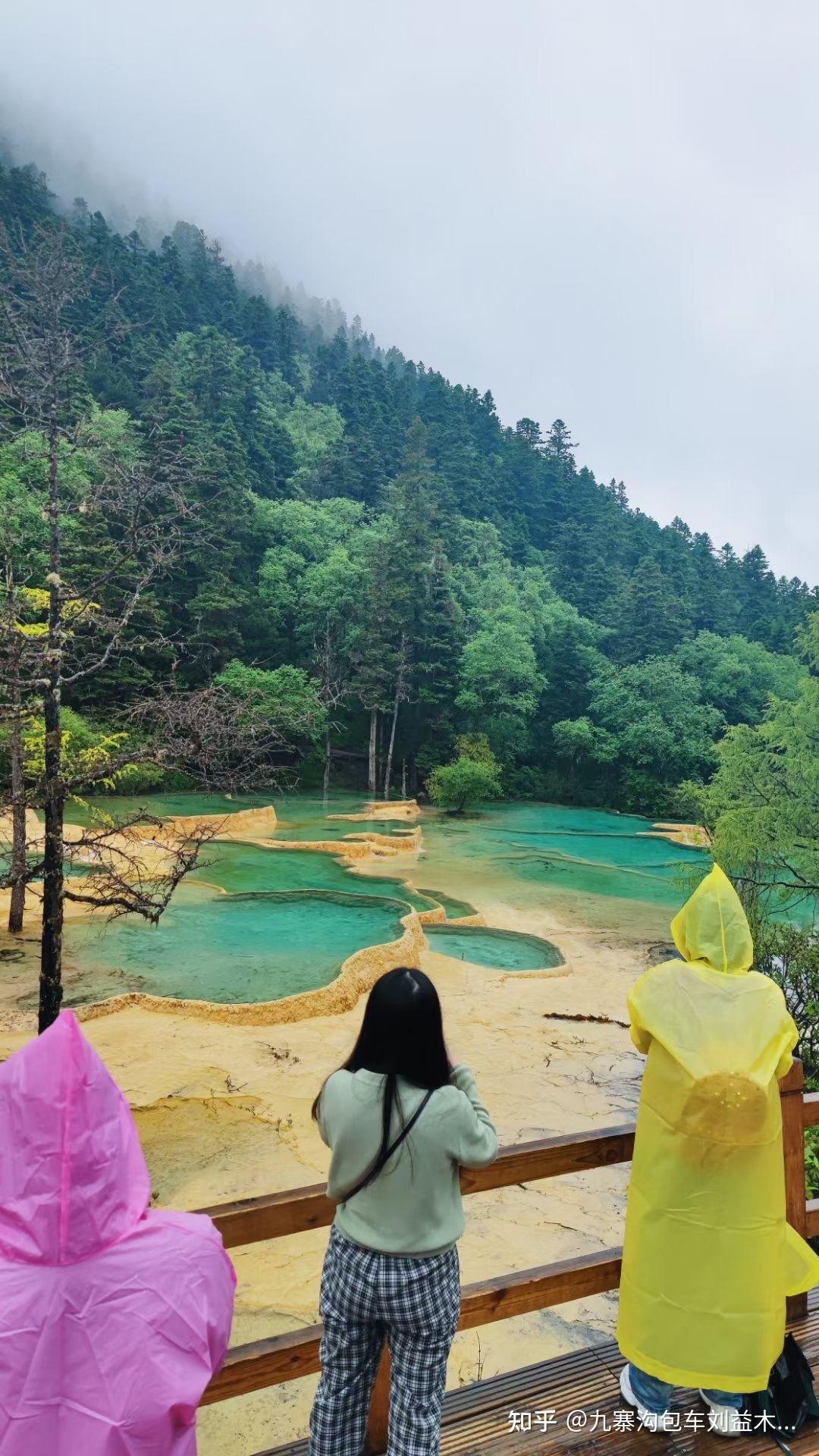 黄龙旅游攻略自助游(黄龙旅游景点门票价格)（黄龙景区的景点名称）(图2)