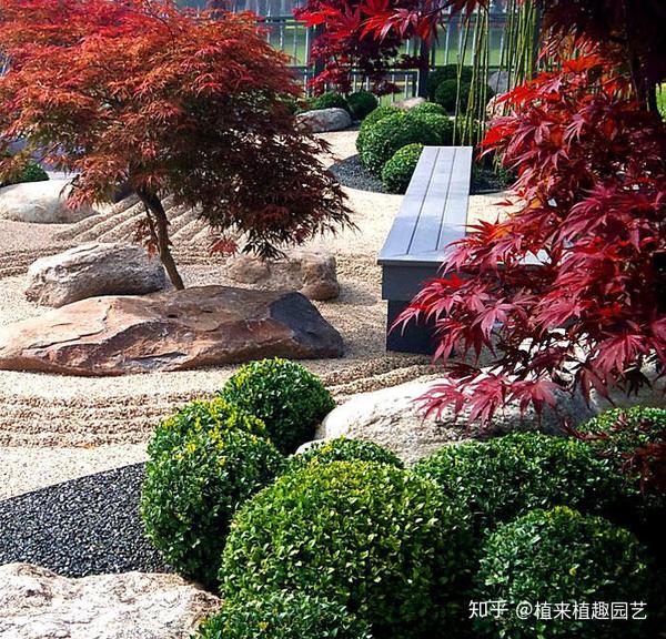 植来植趣 | 日式庭院设计经典案例赏析(三) - 知乎