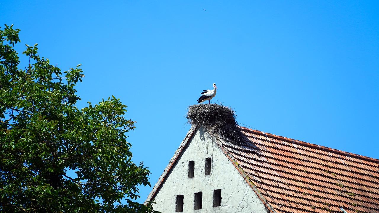 房子的使用性质是什么