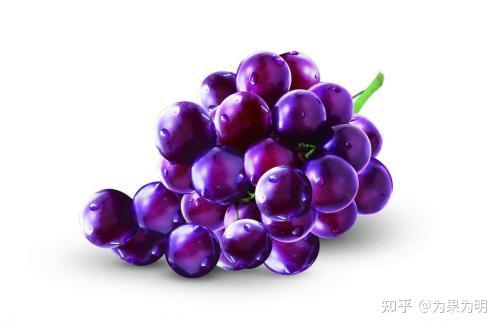 紫色的水果有哪些?