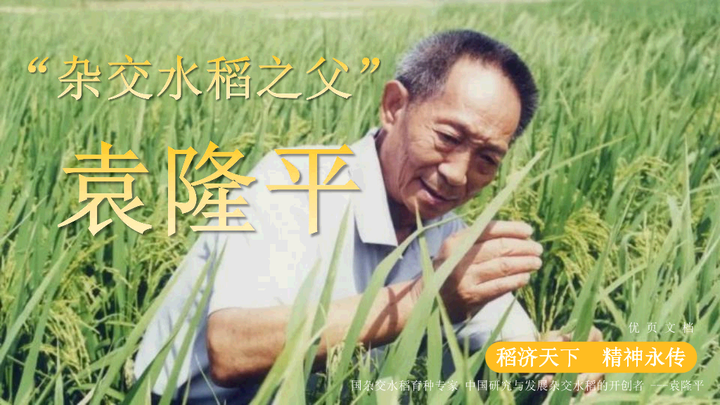 杂交水稻之父袁隆平人物介绍ppt模板