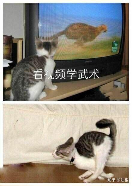 萨摩示现流药丸自显流可不可以自学