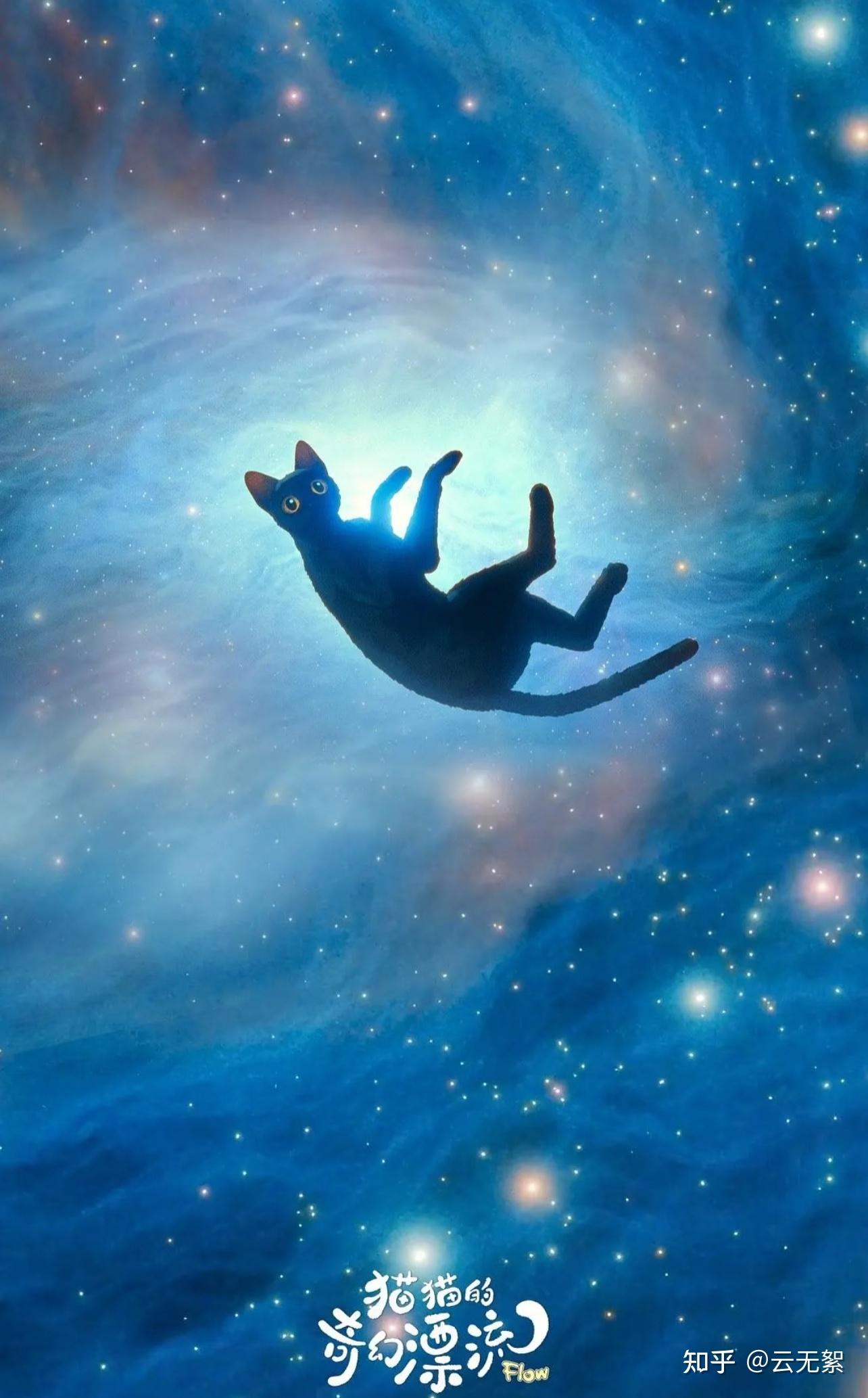 如何评价猫咪电影《猫猫的奇幻漂流》呢？ 知乎