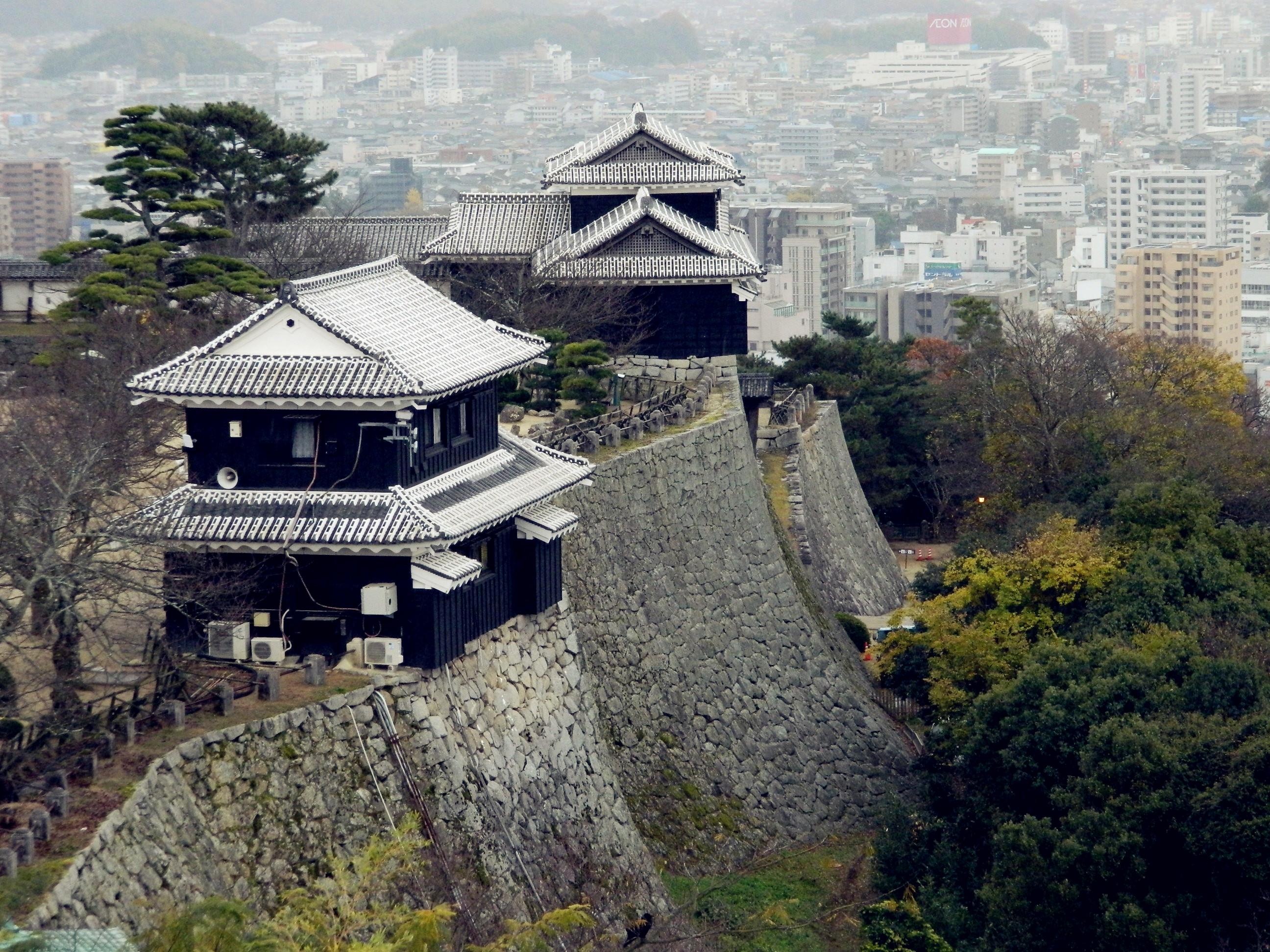 如果你是"建筑派",希望一睹江户时代保留至今的城郭