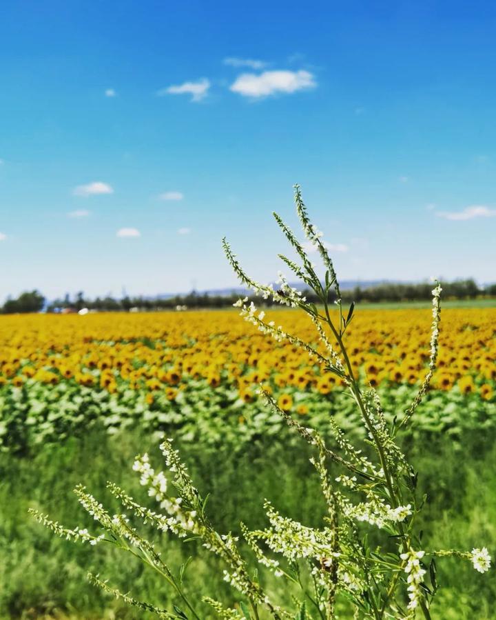 v2-d40d4491382bfc0db77430f827082992_720w