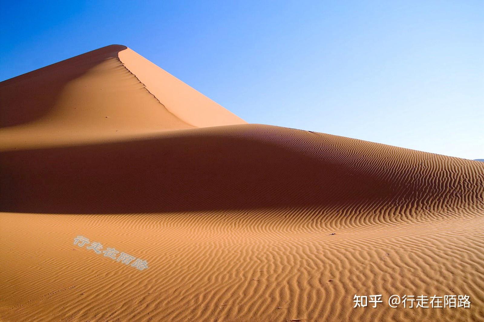 变色龙 非洲 纳米比亚 景观 纳米布沙漠 沙漠 沙丘 干 沙图片下载 - 觅知网