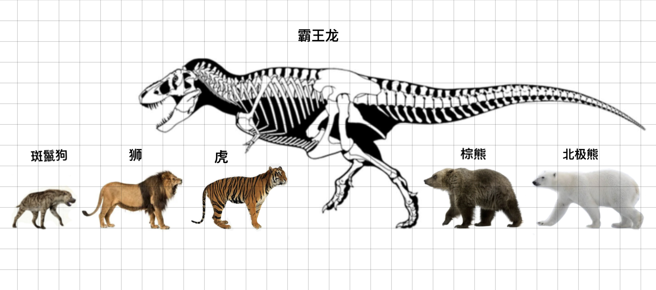 成年老虎打得过霸王龙吗