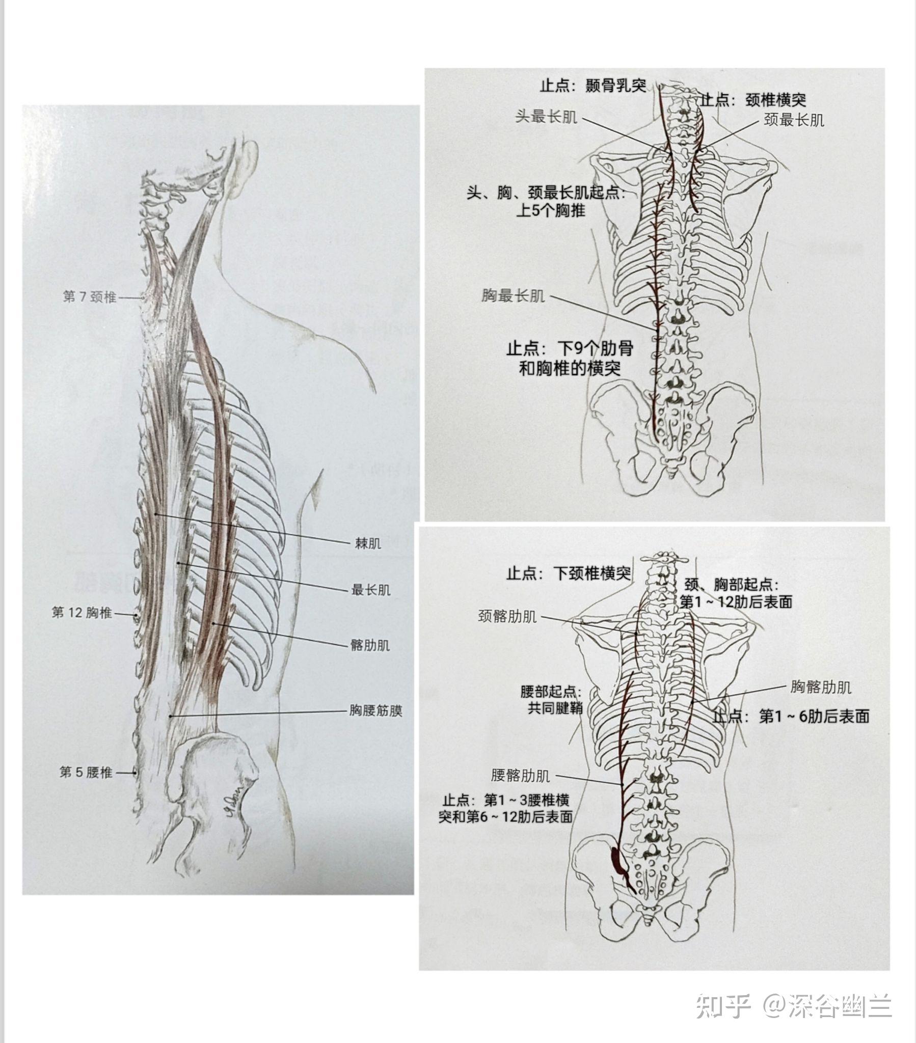 转头颈痛的调理