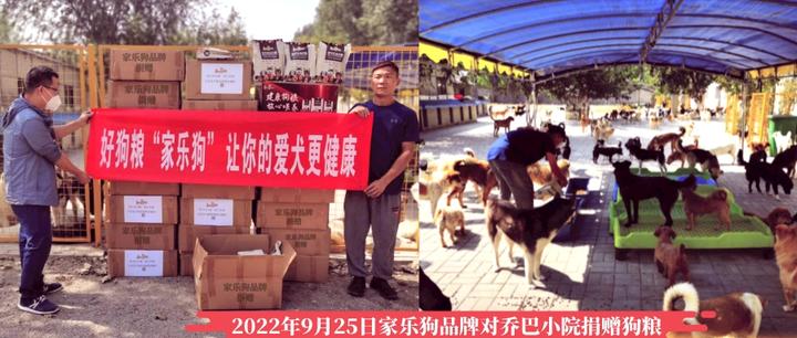 “家乐狗流浪宠物公益救助” 你参与我送粮 - 知乎