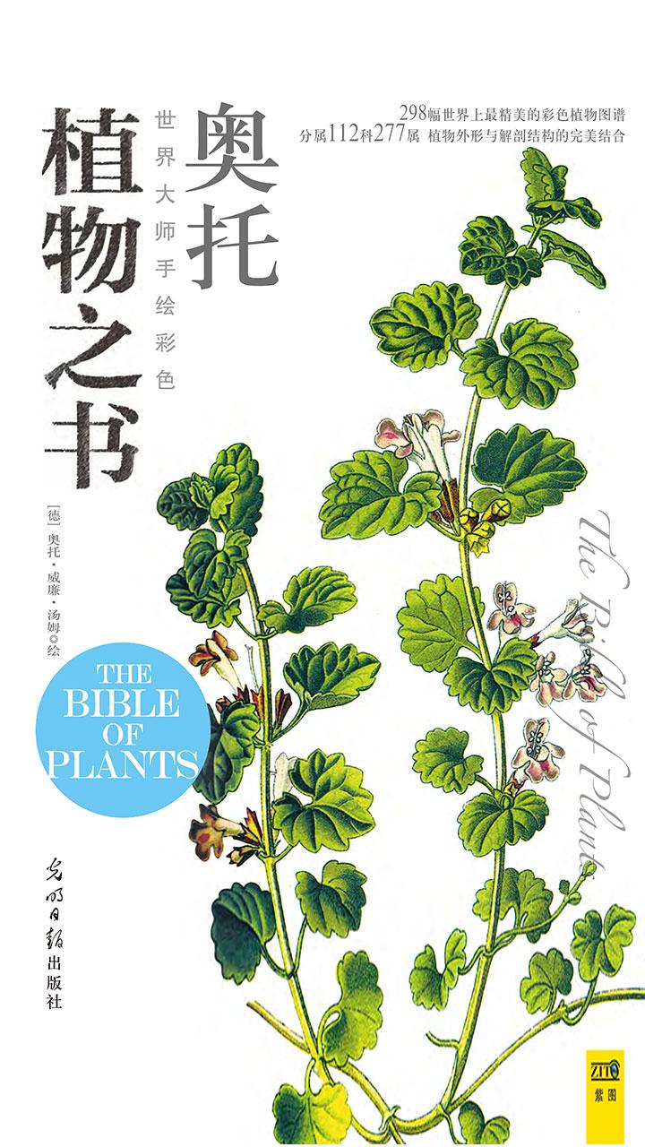 封面- 世界大师手绘彩色植物之书 - 知乎书店