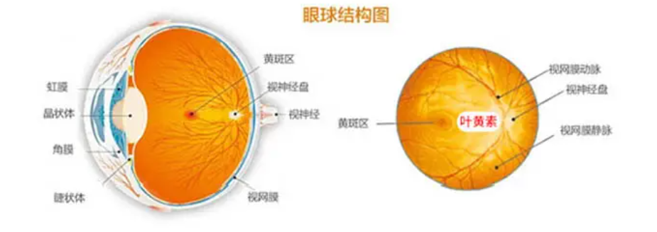 老爸评测推荐的护眼方法,真的管用吗?