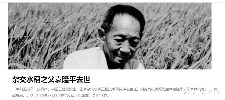 专家杨伯达逝世,享年94岁;杨伯达5月20日,中国医学界泰斗"夏德昭逝世
