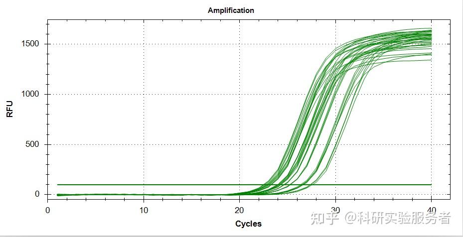 荧光定量pcr实验报告及结果展示上海郑核