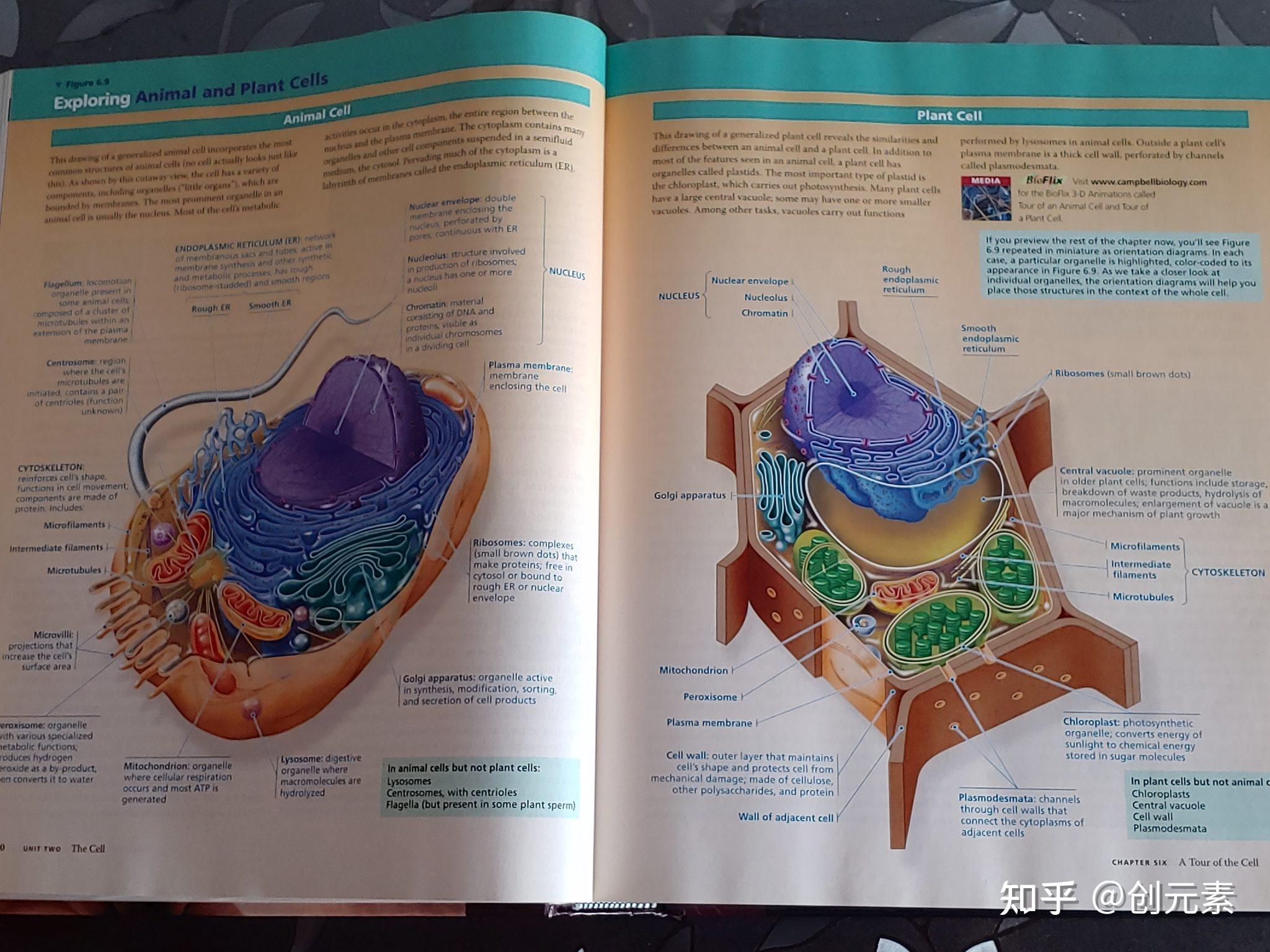 女生学生物科学前景怎么样