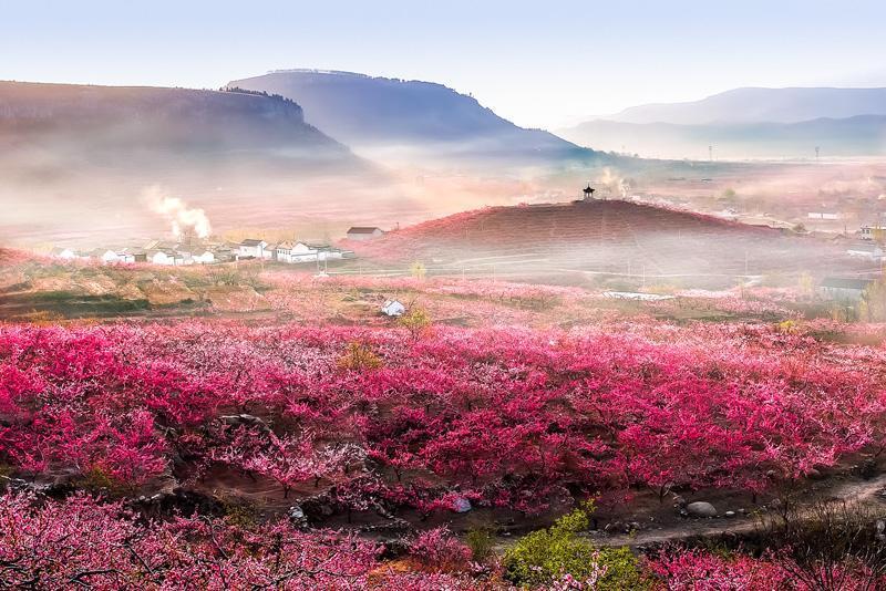 泸西花海在阿庐古洞以东18千米处,与吾者温泉风景区紧紧相连.