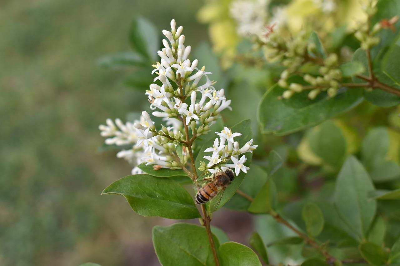 2. 烘烤温度控制