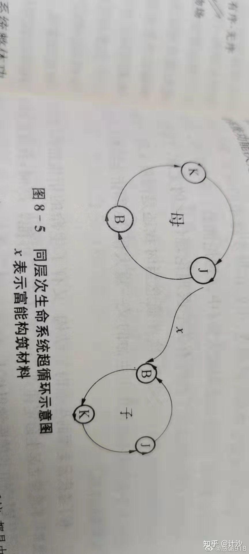 灵体场能结构6命运能量守恒人体疾病康复的最高层次