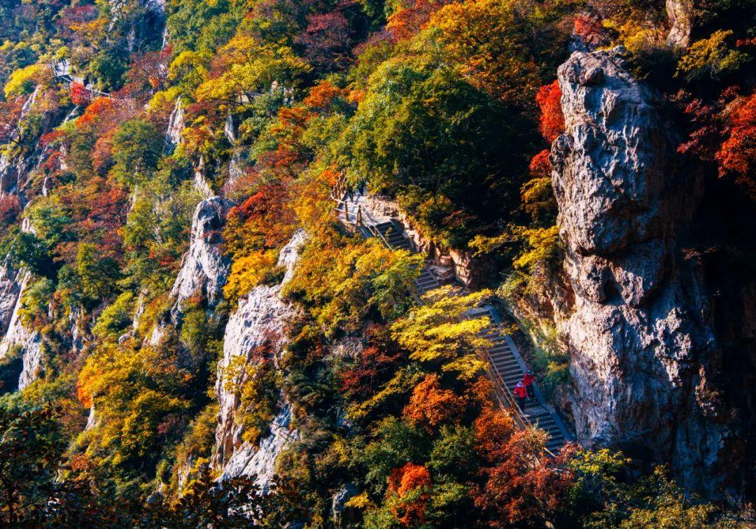 嵩山拍客刘客白：看见嵩山，才能看见中原 知乎