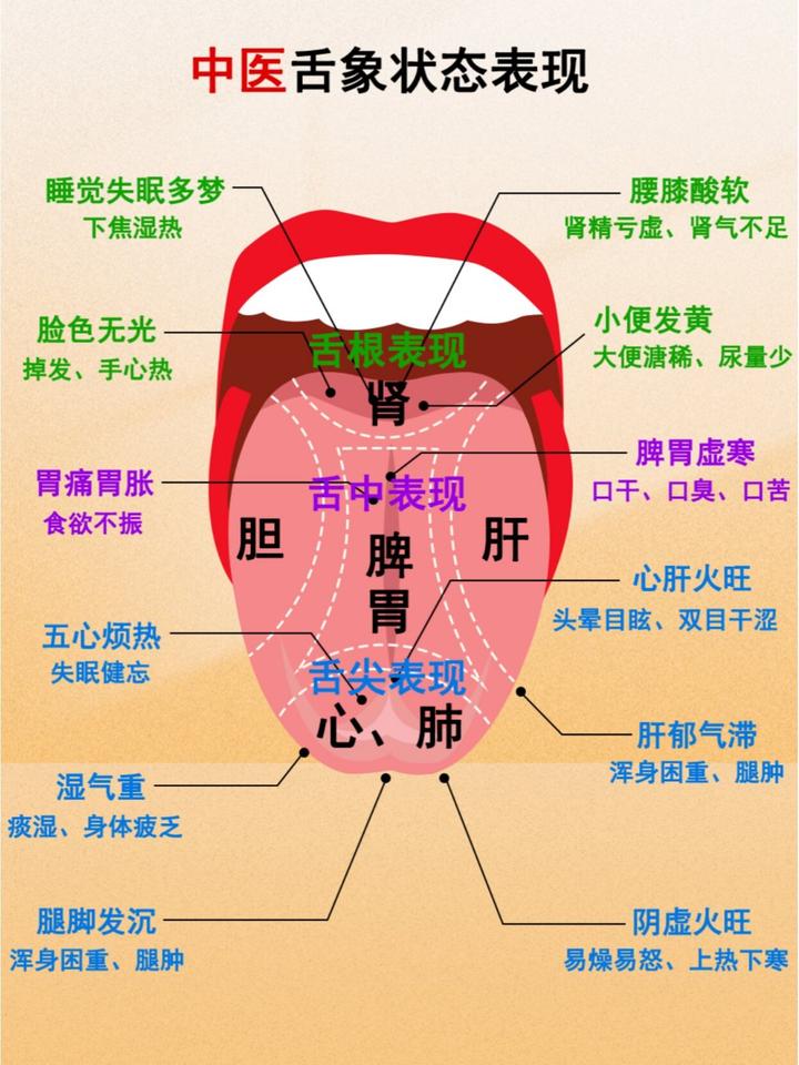 中医舌诊(一)高清版 - 知乎