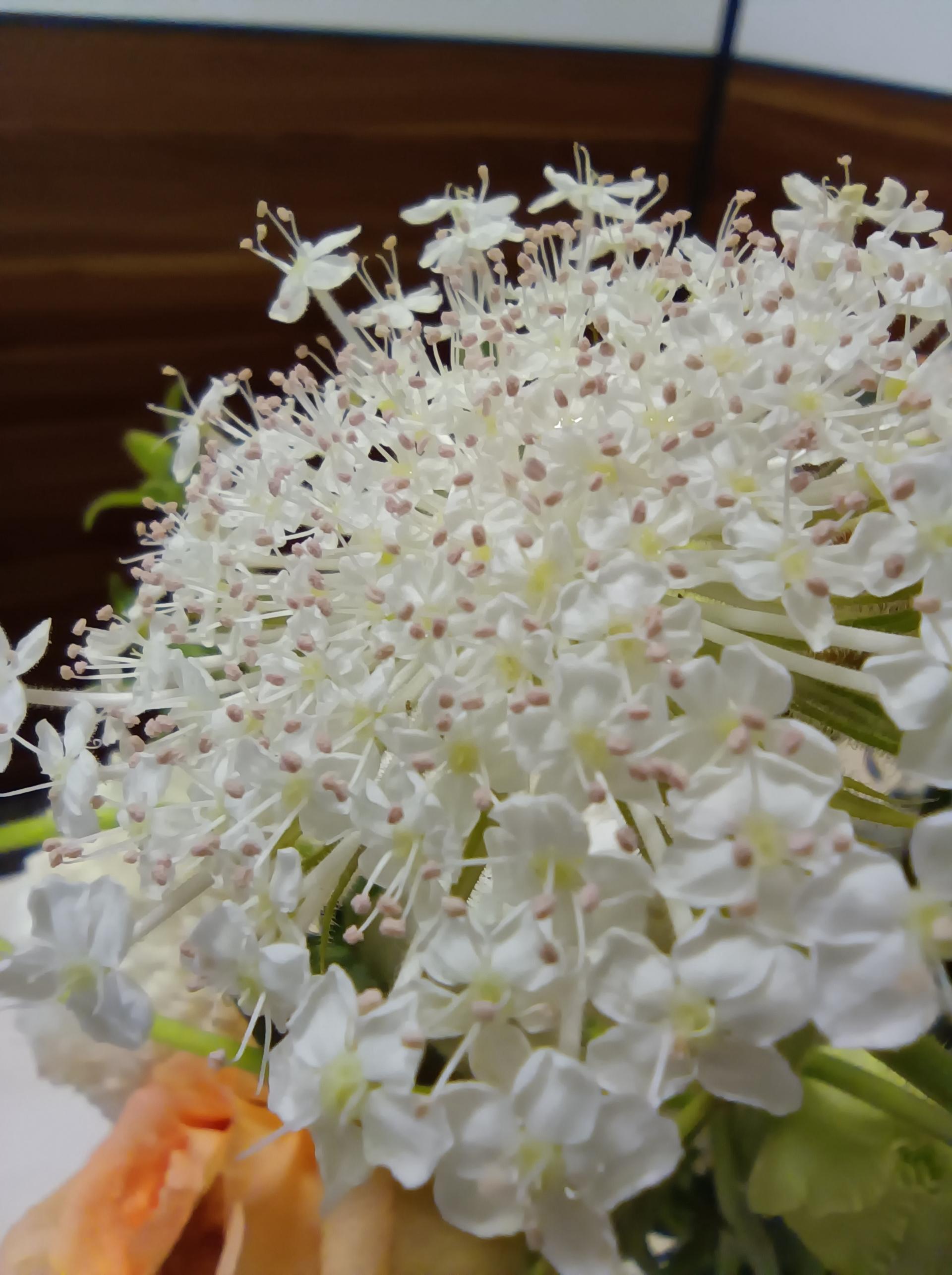 1599元上5G!Redmi 10X评测-5g redcap 室内定位