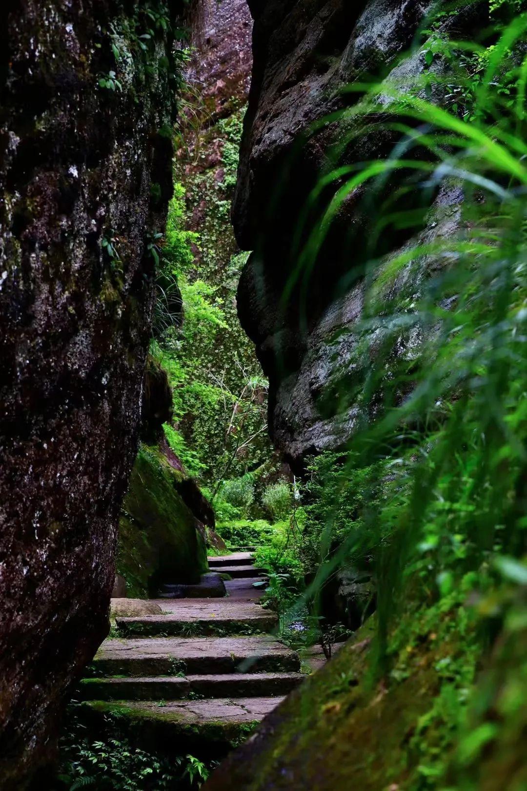 喝岩茶,必论"三坑两涧".