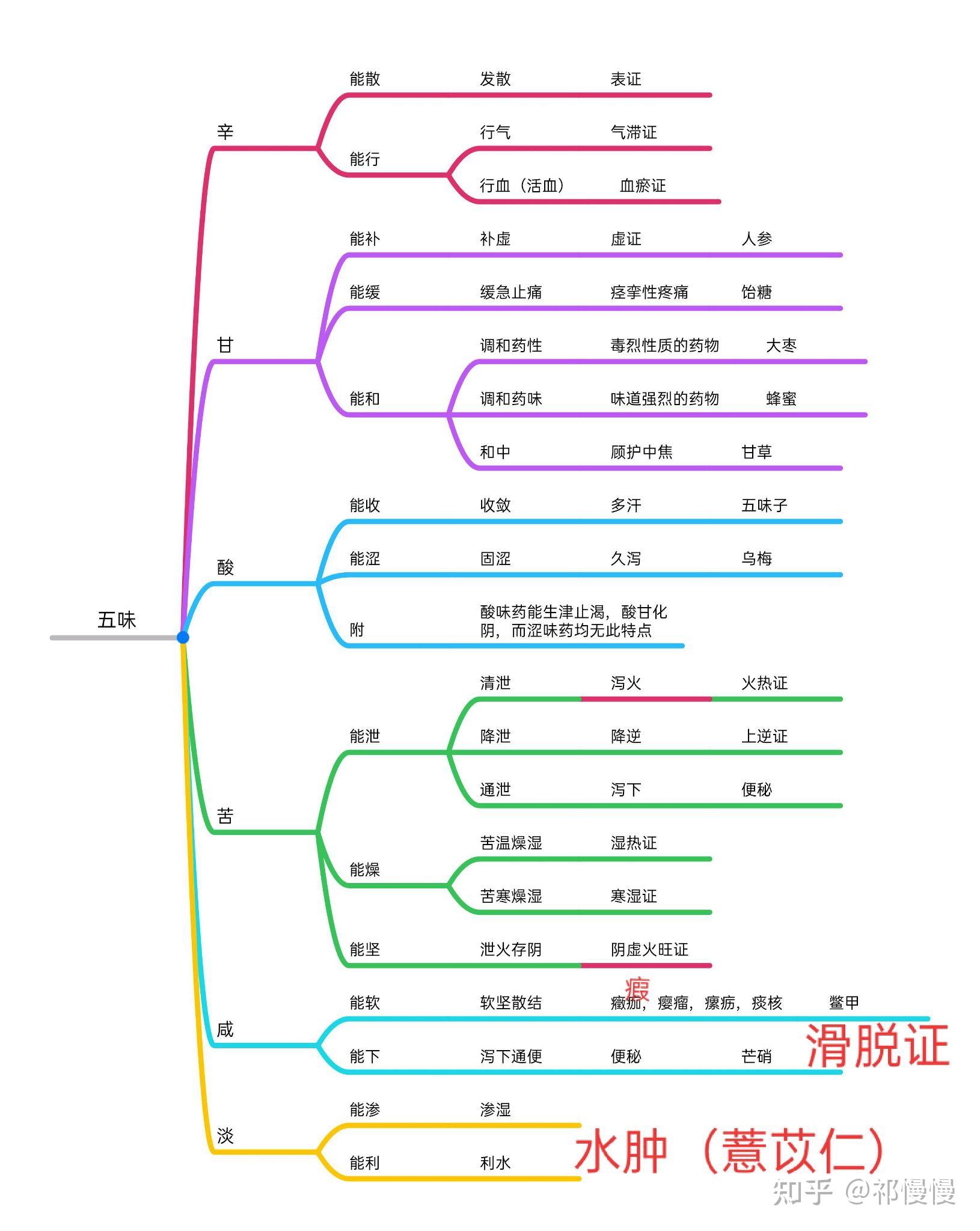 有关中草药的思维导图图片