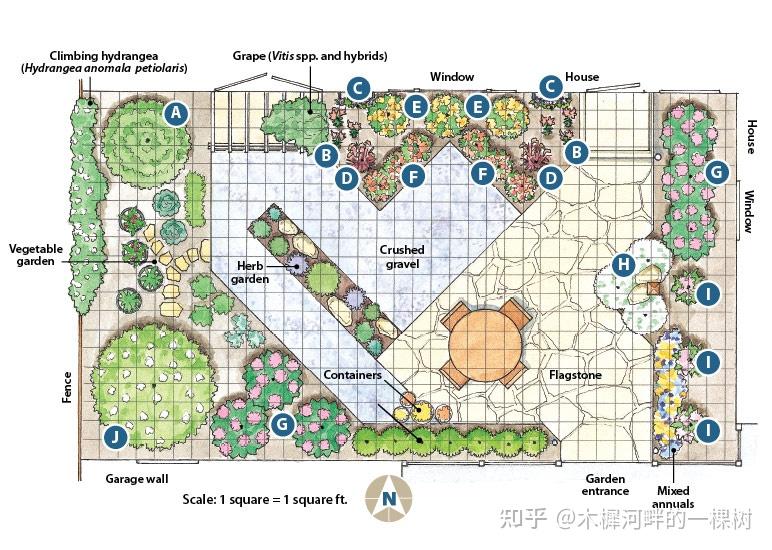 植物群落平面图立面图图片